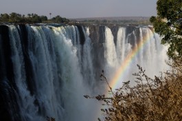 Victoria falls 