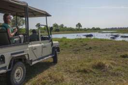 Khwai Game Drive 