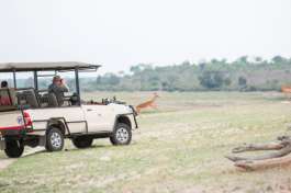 Chobe Game Drive 