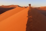 Dune 45
