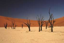Deadvlei Namibia 