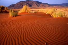 Namib Desert 