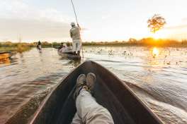 Mokoro Excursion Okavango  