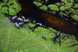 Okavango Delta from Above 
