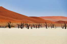 Deadvlei, Namibia 