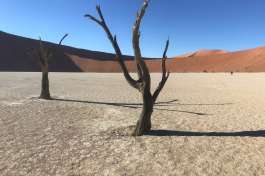 Dead Vlei Namibia 
