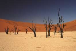 Deadvlei Namibia 