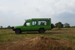 Safari Transport 