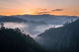 Hills of Bwindi National Park 