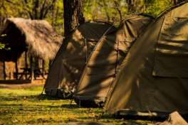Tents in Camp Site 