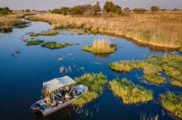 Okavango Boat Cruise 