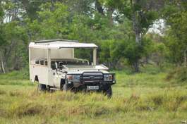 Safari Vehicle 