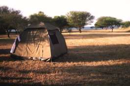 Tents 