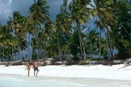 Zanzibar Beach 