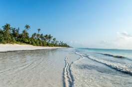 Zanzibar Beach 