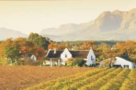 Winelands 