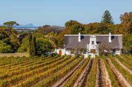 Cape Winelands 