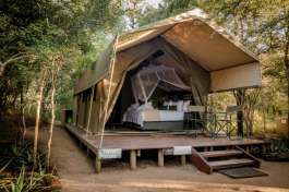 Sabi Sands Accommodation 