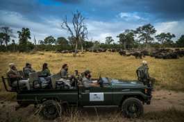 Sabi Sands Safari Vehicle and buffalo 