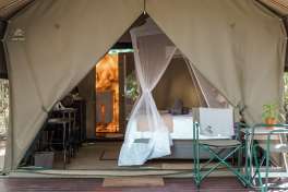 Standard Tent at Umkumbe Bush Lodge 
