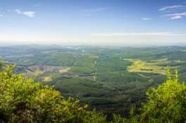 Gods Window - Panorama Route 