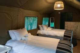 Safari Accommodation 