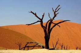 Deadvlei Namibia 