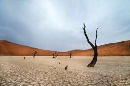 Dead vlei Namibia 