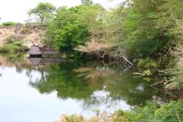 Mzima Spings Tsavo 
