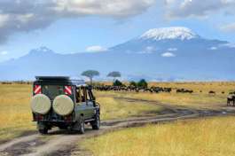 Game drive in Amboseli with Mount Kilimanjaro 