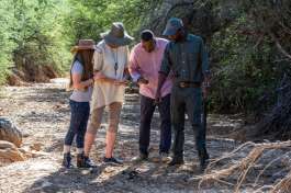 Informative Bush Walk 