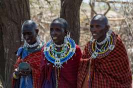 Masai Tribe 