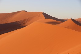 Namib dunes 