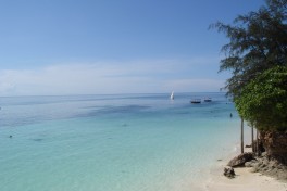 Zanzibar 6 