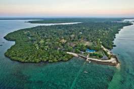 Mafia Island 