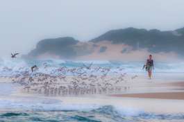 Machangulo Beach Early morning walk 