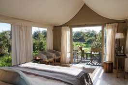 Simbavati river lodge - Timbavati accommodation 