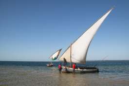 Dhow in Mozambique 