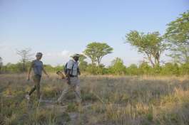 Hwange wildlife safari walk 