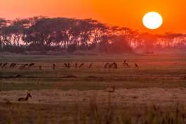 Kafue sunset 
