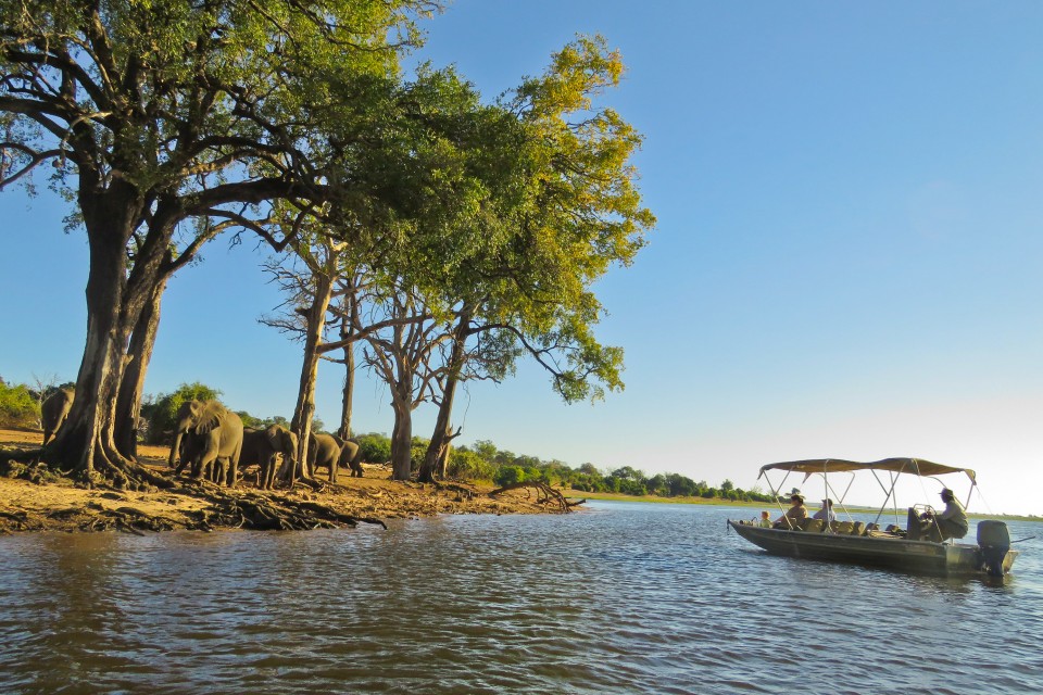 Chobe cruise