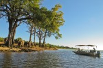 Chobe cruise 