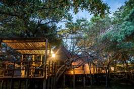 Treehouse Lodge 