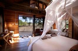 Standard Treehouse Bedroom 