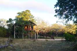 Standard Treehouse 