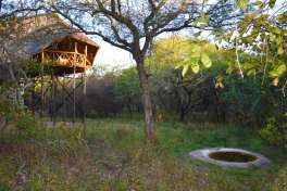 Treehouse Accommodation 