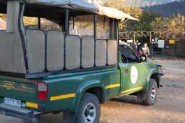 Game Drive Vehicle 