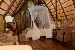 Treehouse Accommodation 