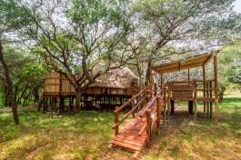 Treehouse Accommodation 