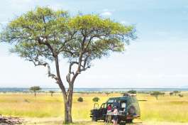 Serengeti Game Drive vehicle 